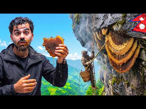 بوستر فيلم جربت عسل الهلوسة - الأخطر و الأغلى بالعالم 🇳🇵